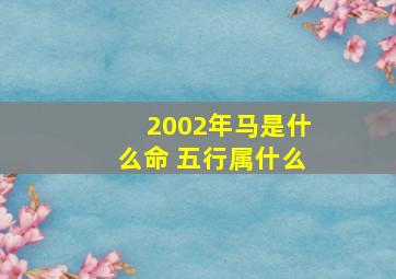 2002年马是什么命 五行属什么